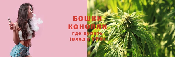 дживик Белокуриха