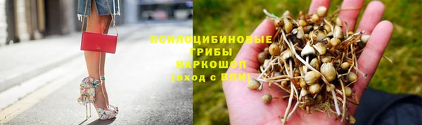 мдпв Беломорск